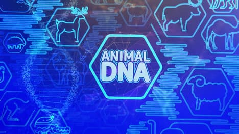 Exploring the Strangest and Most Unique Animals in the World