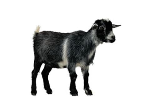 The Monty Hall Problem