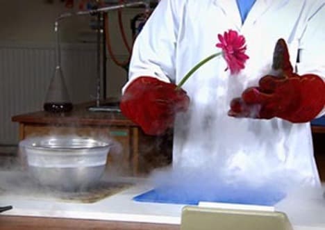 Liquid Nitrogen Demos