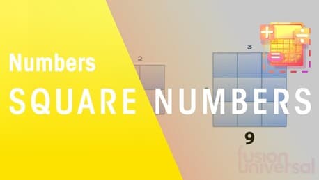 What Are Square Numbers