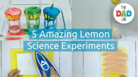 5 Lemon Science Experiments
