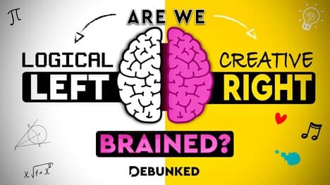 The Left Brain Right Brain Myth