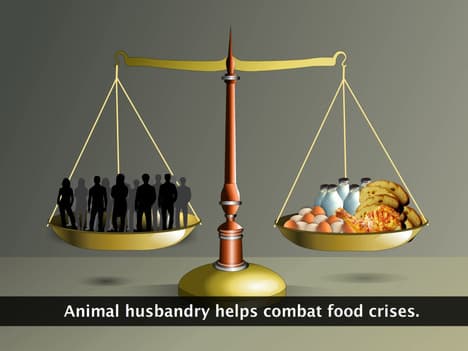 Animal Husbandry