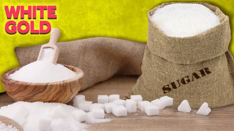 The History of Sugar