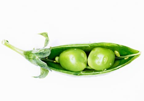 Mendel and Inheritance