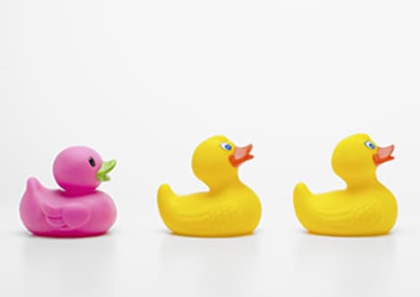 The respiratory system – Odd one out