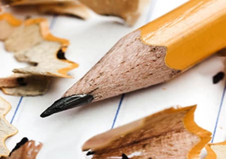 What are plants used for?