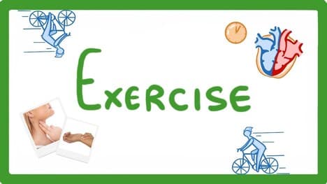 GCSE Biology - Exercise & Oxygen Debt #22