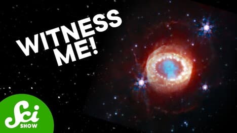 The Most Important Explosion in History