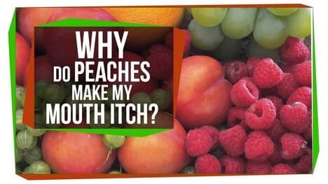 Why Do Peaches Make My Mouth Itch?