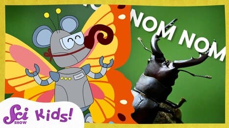 The Wonderful World of Insect Mouths | SciShow Kids