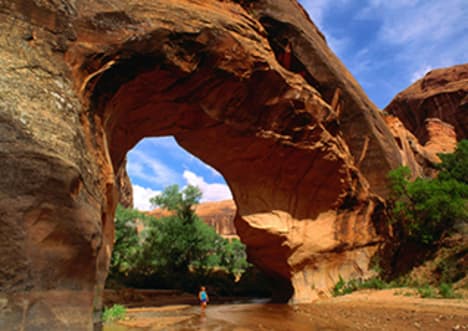 Weathering: The Erosion of Rock by Natural Forces