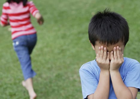 Developing Brain: Theory of Mind