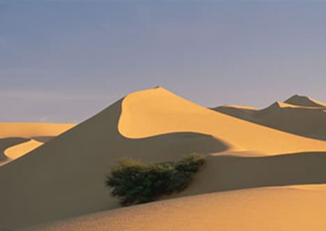 Secret of the Sahara