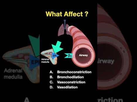 Testing ANS #shorts (Part F)