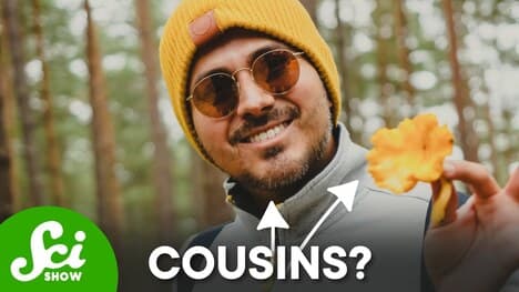 You're Basically A Mushroom