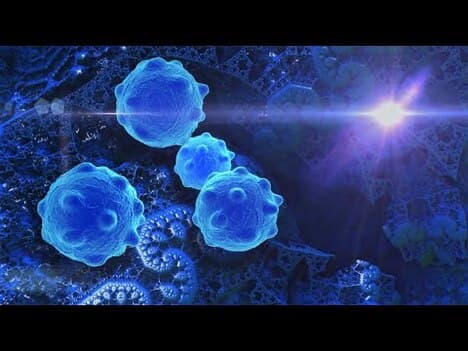 Innate Lymphoid Cells