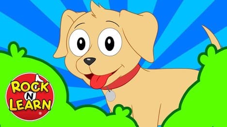 Where Has My Little Dog Gone