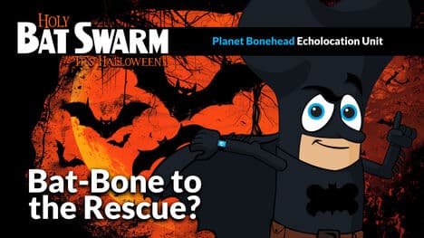 Holy Bat Swarm! It’s Halloween! Part 2