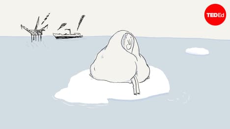 Why you feel stuck — and how to get motivated | Shannon Odell