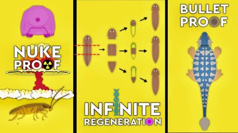 What's The Most Indestructible Animal To Ever Live On Earth?