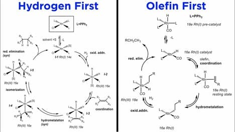 Catalytic Hydrogenation of Alkenes and Alkynes