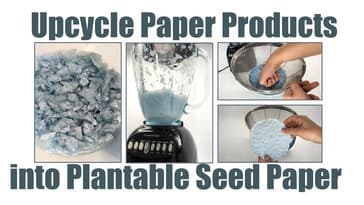 Upcycle Paper Products into Plantable Seed Paper