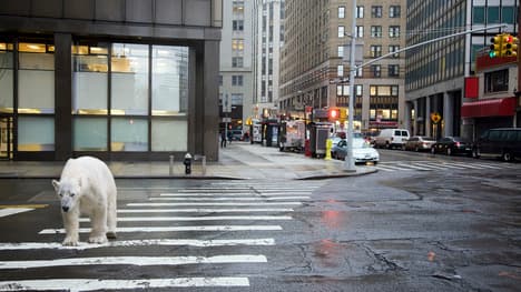 Curiosity: The Key to Learning and Discovery