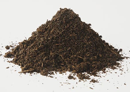 What do plants need?