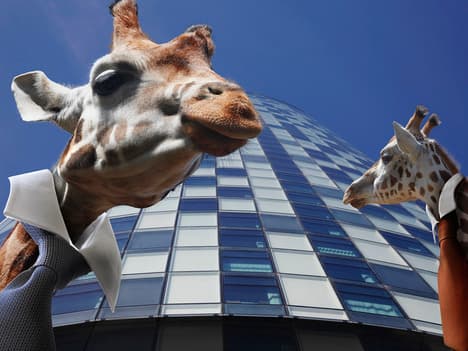 Learning about Fairness with Dixie the Duck