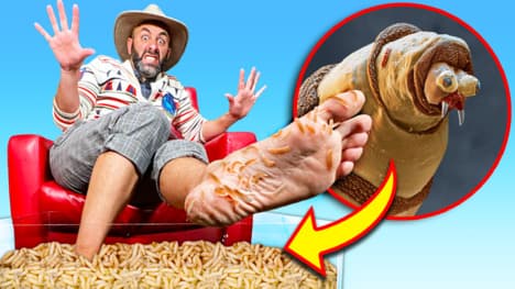 300,000 Maggots vs Coyote's Feet!