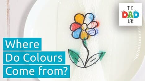 Colourful Magic Trick with Paper Towels