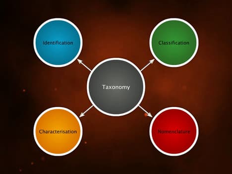 Taxonomy and Nomenclature