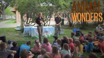 Bringing the Zoo to You!