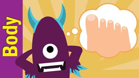 Where Are Your Toes?