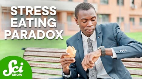 Stress Eating Explained (And Other Weird Fight Or Flight Responses)