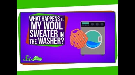 What Happens to My Wool Sweater in the Washer?