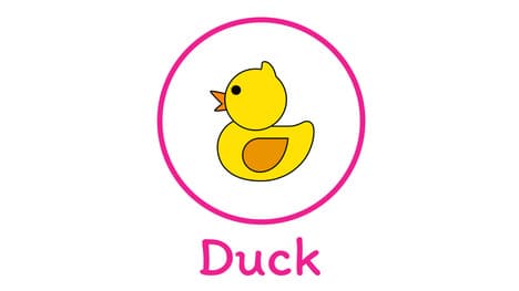 Learn To Draw A Duck