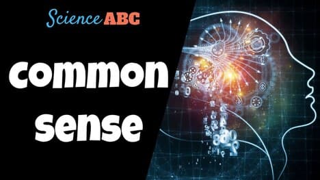 What Is Common Sense… Really?