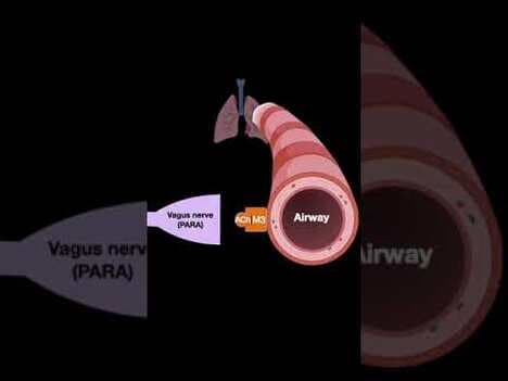 Testing ANS #shorts (Part C)