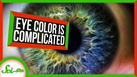 We Found a Bunch of New Eye Color Genes | SciShow News