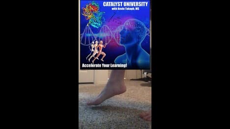 The Talocrural Joint | Anatomy & Movements