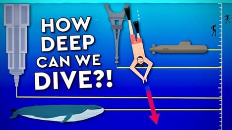 What Is The Deepest A Human Can Dive?