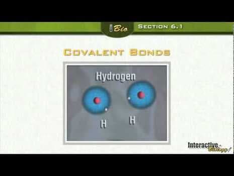 Atoms and their Interactions - The Chemistry of Life