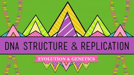 DNA Structure and Replication: Crash Course Biology