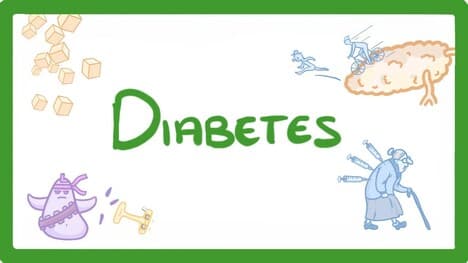 GCSE Biology - Type 1 vs Type 2 Diabetes - What is Diabetes and How to Treat It #57
