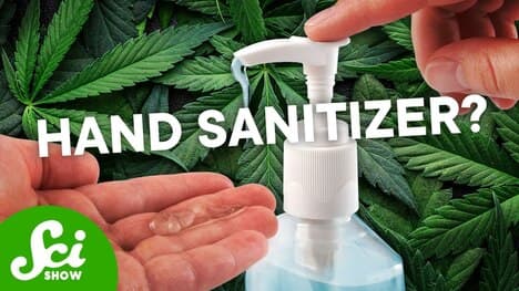 Do These Weird CBD Products Actually Work?