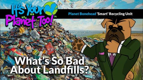 Rethinking Rubbish: Landfills, Recycling, and Our Planet