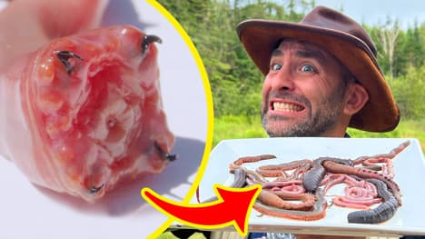 BITTEN by 3 TOXIC Worms! (Which is Worst?)