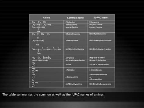 Nomenclature Common Names